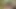Sevimli Asyalı amatör kız arkadaş büyük götlü anal sikiş videosuna kaydedildi