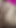 Spectacular moment from "Desi bhabhi shuking his husband cock then fuck hus pink pussy."