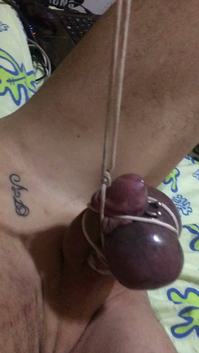 Submissive with stretched dick and balls, whipped at the same time."