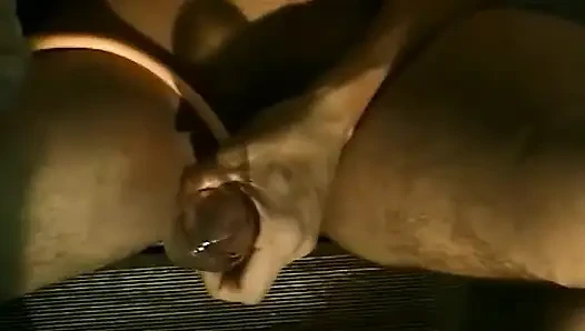 Two bikers having fun