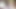 大きなお尻、毛深い猫、そして巨大なおっぱいのガールフレンド