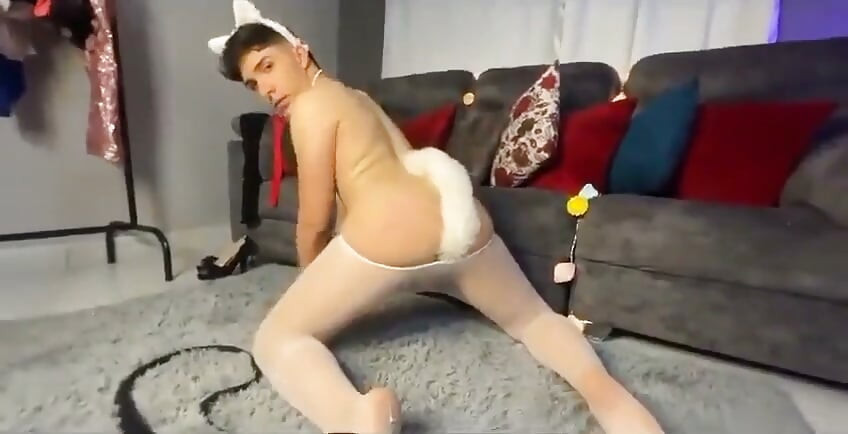 Perrita Femboy