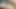 ASMR the best cumshot compilation of your life! 4k