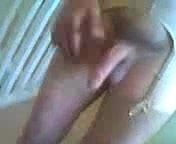 stockings