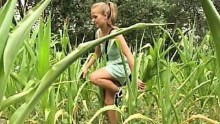 Junge Maedels verstecken sich im hohen Mais um zu spielen
