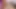 Masturbating and Edging My Girlfriend Hairy Pussy