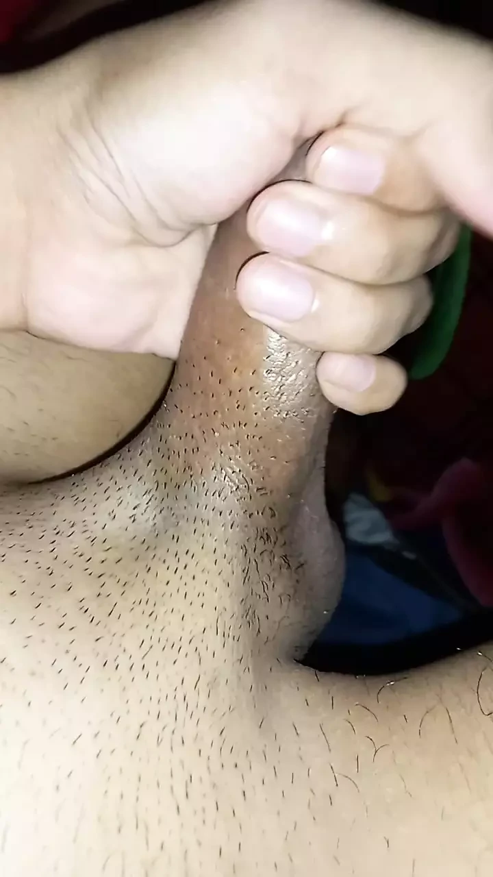Zakar musim panas
