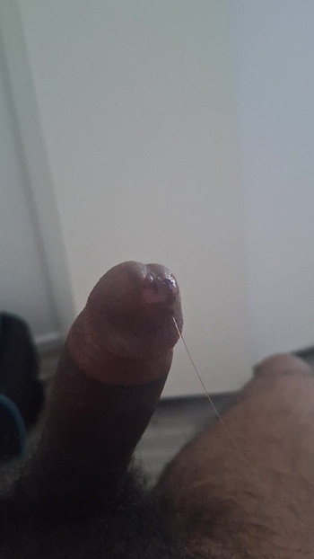 Pulă mare și neagră pompând solo