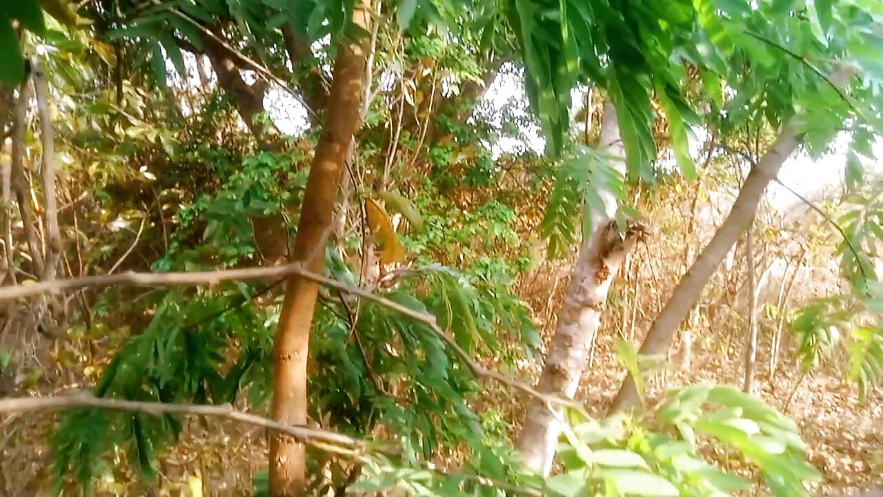 rumah desa