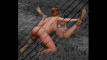 Video pregled