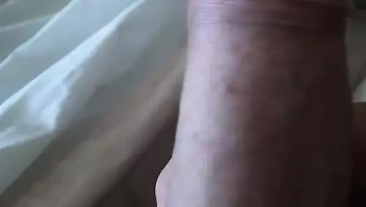 mi polla