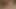 アナルプラグでミルフのアナルとチンポが膣で突かれる