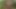 Sex in the woods with big ass latina