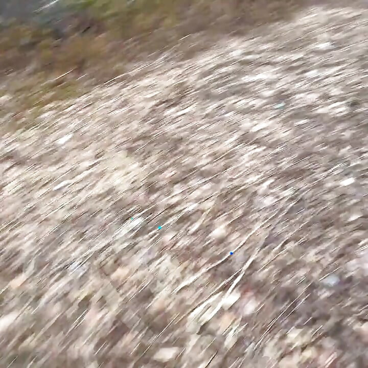 Pee Sexy on the Forest niin siisti