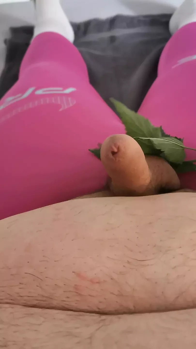 I pamper my little cock with a nettle.