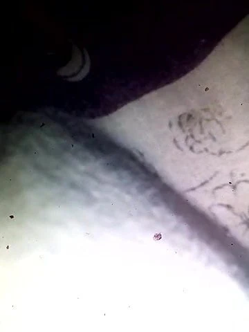 Seks