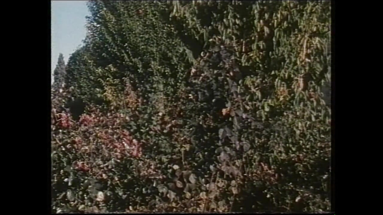 Betty Blu (Full Movie)