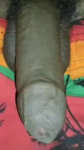 Memorable moment from "A cute black cock came out of the panties and masturbated."