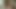 Classy Blowjob Mistress Facial