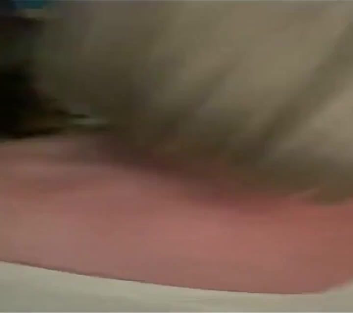 هل نشرت هذا البكالوريوس لول