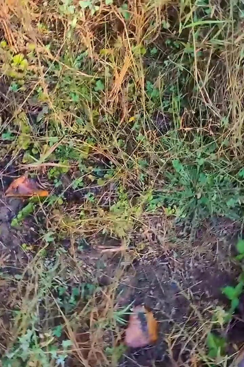 Enjoying Nature!