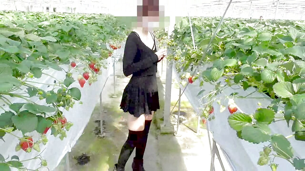 마유 45호 딸기 사냥 노출, 즉각 구강, 삼킴 전문