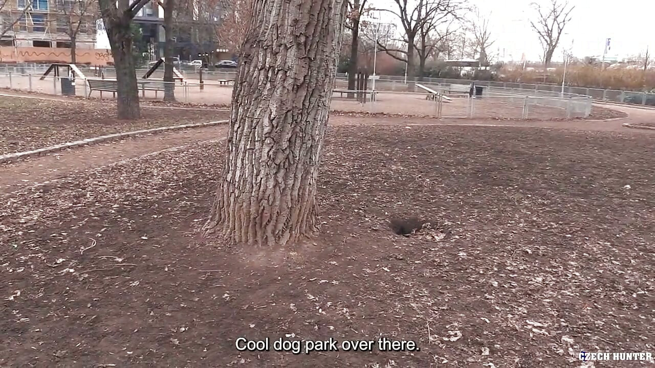 Czech Hunter - Park Pickup POV with Cute Foreigner