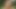 かわいいふしだらな女は良いディックを吸うのが大好き
