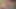 3D Animated Lesbian Lust: Busty MILF Pussy-grinds & Double-dildo Fucks Petite Teen Pussy