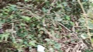 Thu thập bao cao su chứa đầy trong rừng