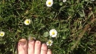 Caminando sobre la hierba y las margaritas mostrando mis pies