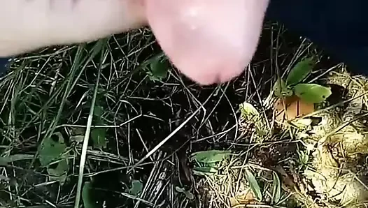 sperma