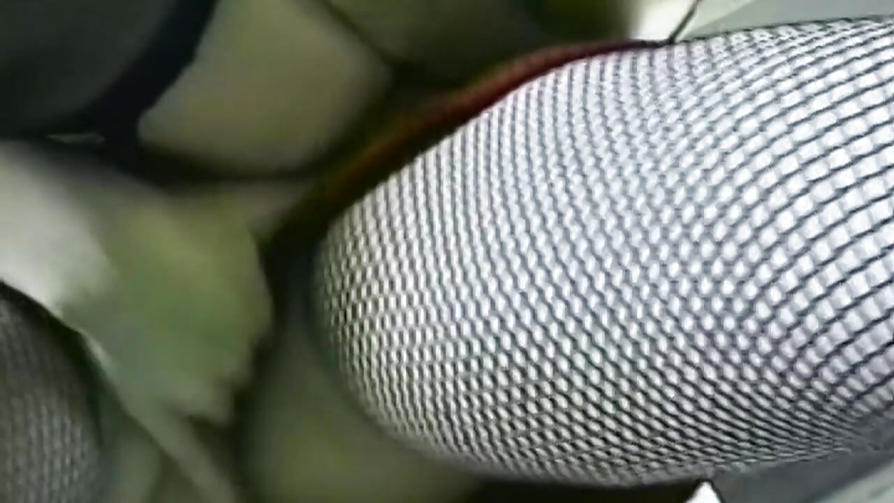 Seductive Brunette Babes Finger and Bottle Fuck Passionately