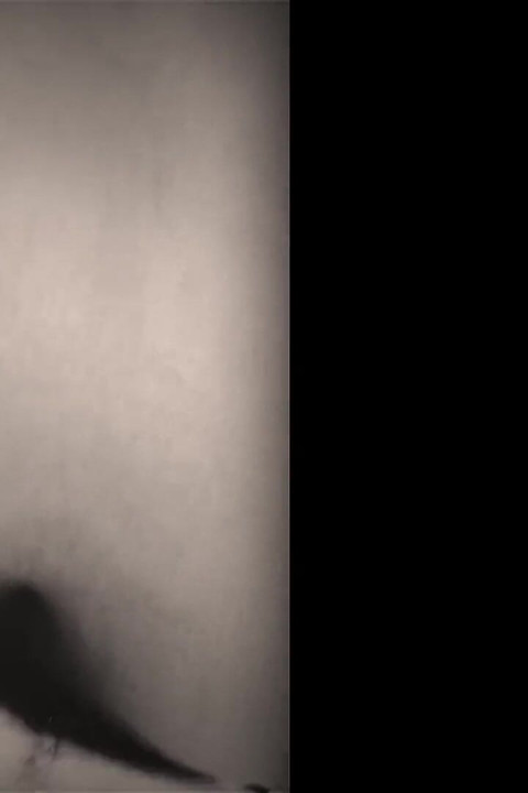 Sex Video with Step Sister in Bed