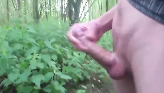 wald