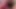 Littlekiwi gives husband evening release with cumshot on tits