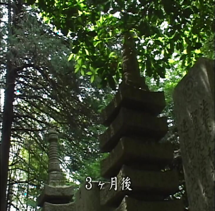 P139G02 A sad erotic drama set in the early Showa period in the suburbs of Kanto, about an only daughter of a temple and the heir to a farmer, who never end up together.
