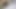 Indian Desi local pussy  pussy Kolkata Kolkata pussy bangali bangali pussy girl pussy girlfriend pussy