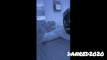 Pratinjau video
