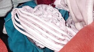 Wife's Dirty Panties Laundry