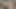 Secretdreamsfuta jak analni seks ukusno zgodno veliko dupe guta ogroman monstruozni slatki kurac intenzivan intenzivan seks