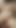 Just a Stetpmom Bod Taking a Full Load After Sucking Cock and Playing with a Dildo