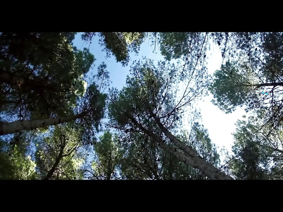 縛られた女がワイルドBDSMスリーサムでチンポをしゃぶる