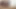 Sucking a Huge 24 Cm Colombian Cock and Drinking His Hot Cum