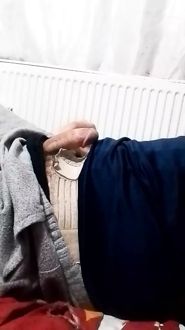 31 Pulling Lion