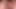 Sissy Pig Masturbates His Micropenis Like It’s a Pussy