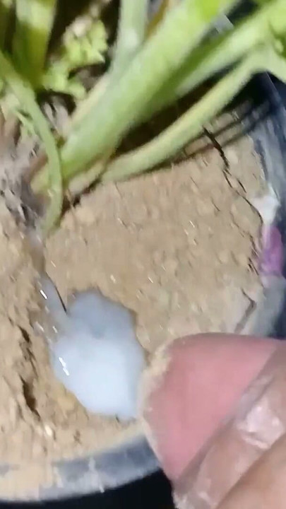 First Time Masturbating Video ( Teen Masturbation videos) | Clip 1
