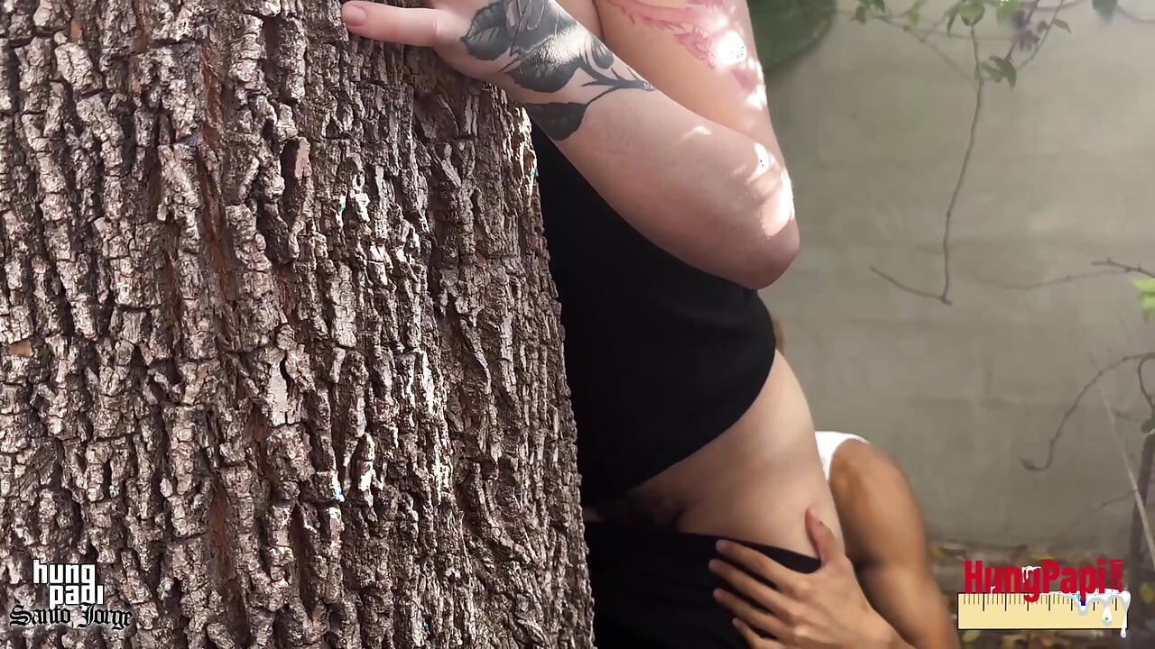 Γαμημένο πισινό δέντρο αγκαλιάζει γκέι πρωκτικό χύσιμο βαθιά αναπαραγωγή! Hung Papi Santo Jorge