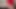 Foreskin movement (slowmotion) 520