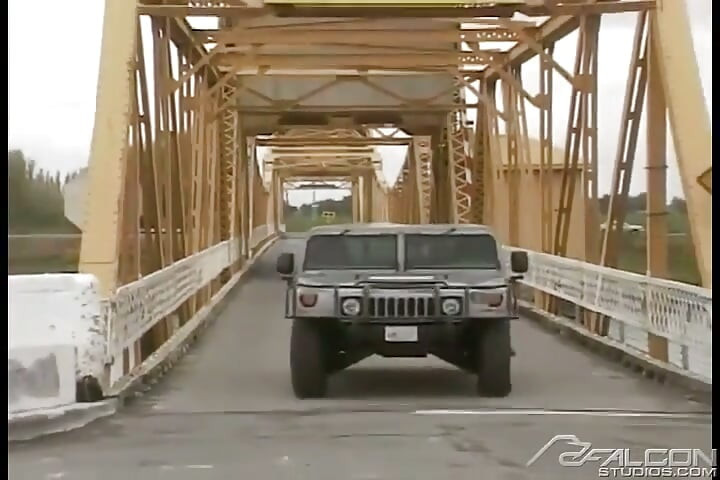 Лісова пожежа